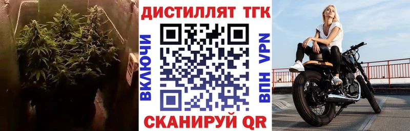 Дистиллят ТГК Wax Руза