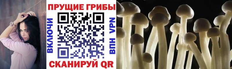 Галлюциногенные грибы ЛСД  наркотики  Руза 